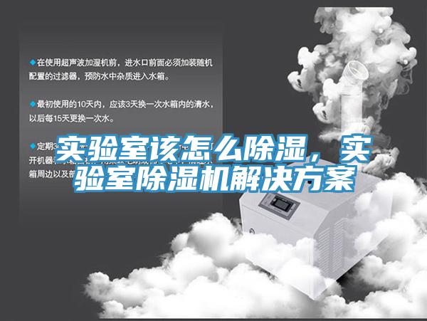 實驗室該怎么除濕，實驗室除濕機解決方案