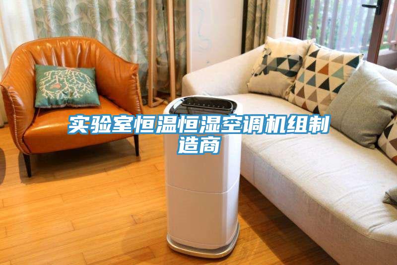 實(shí)驗(yàn)室恒溫恒濕空調(diào)機(jī)組制造商