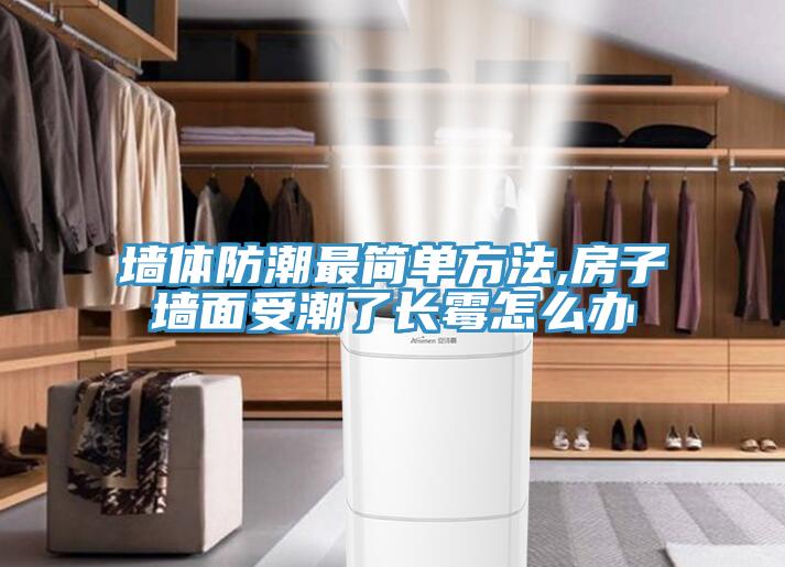 墻體防潮最簡(jiǎn)單方法,房子墻面受潮了長(zhǎng)霉怎么辦
