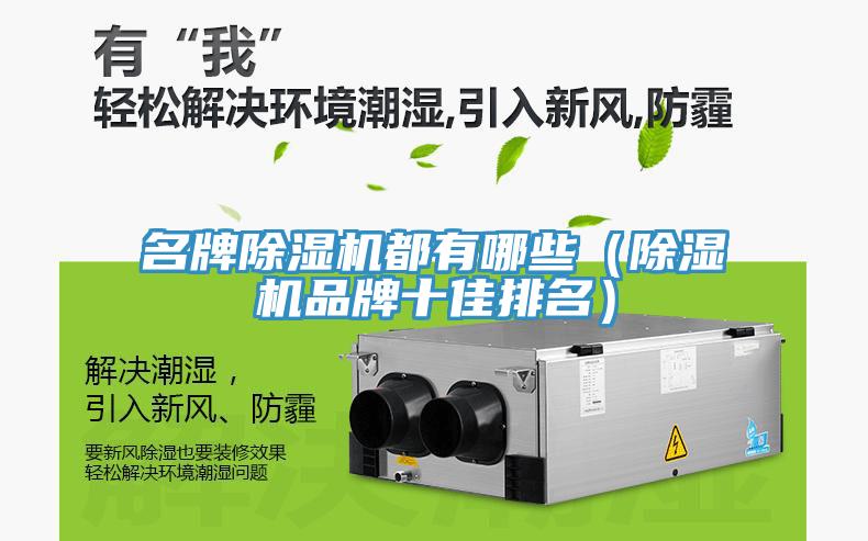 名牌除濕機(jī)都有哪些（除濕機(jī)品牌十佳排名）