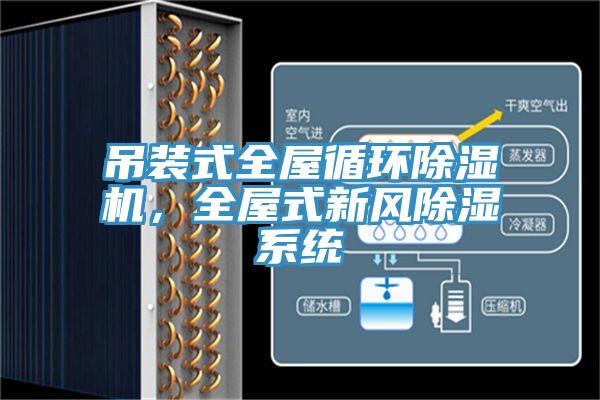 吊裝式全屋循環(huán)除濕機(jī)，全屋式新風(fēng)除濕系統(tǒng)