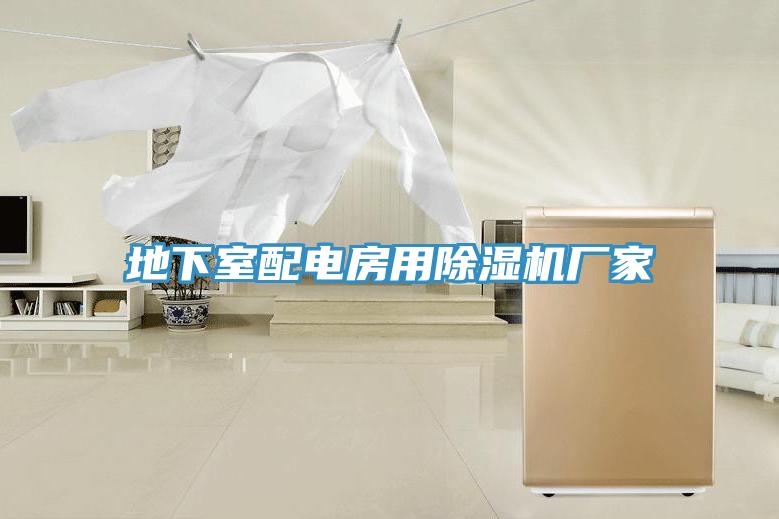 地下室配電房用除濕機(jī)廠家