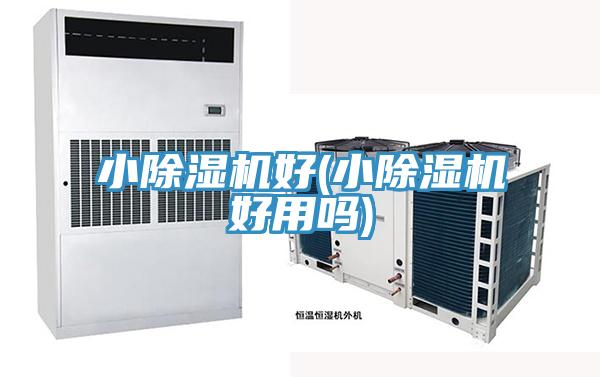 小除濕機(jī)好(小除濕機(jī)好用嗎)