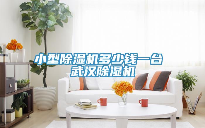 小型除濕機(jī)多少錢一臺 武漢除濕機(jī)