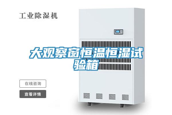 大觀察窗恒溫恒濕試驗箱