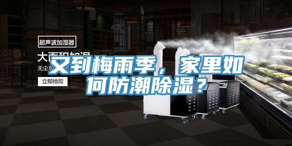 又到梅雨季，家里如何防潮除濕？