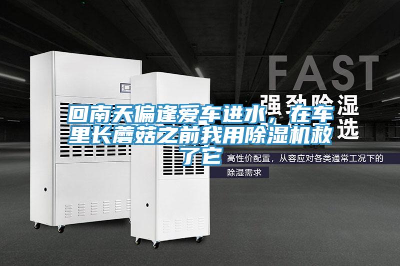 回南天偏逢愛(ài)車進(jìn)水，在車?yán)镩L(zhǎng)蘑菇之前我用除濕機(jī)救了它