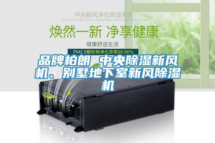 品牌柏朗 中央除濕新風(fēng)機(jī)、別墅地下室新風(fēng)除濕機(jī)