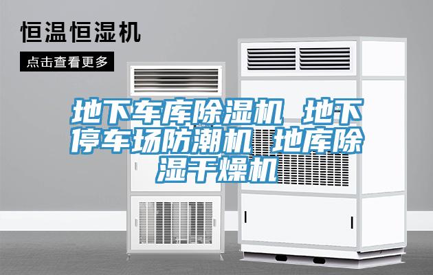 地下車庫除濕機(jī) 地下停車場(chǎng)防潮機(jī) 地庫除濕干燥機(jī)