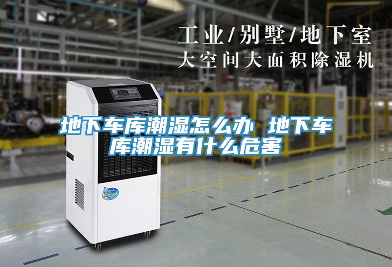 地下車庫(kù)潮濕怎么辦 地下車庫(kù)潮濕有什么危害