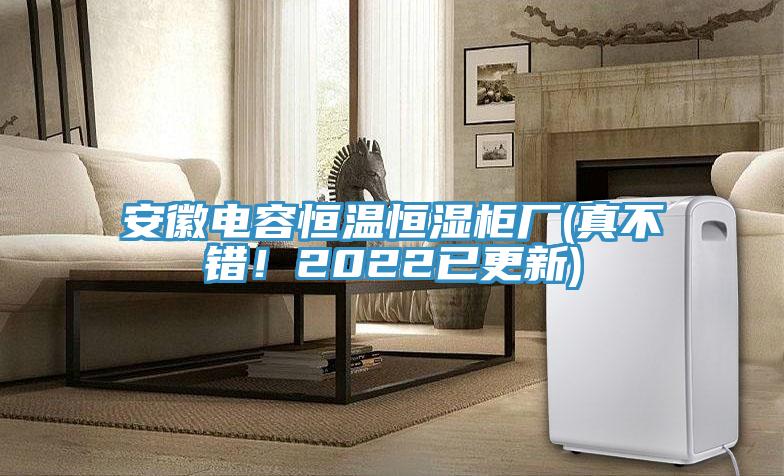 安徽電容恒溫恒濕柜廠(chǎng)(真不錯(cuò)！2022已更新)