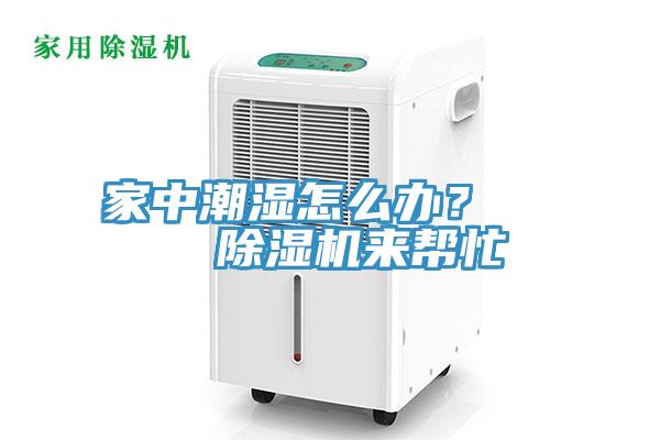 家中潮濕怎么辦？    除濕機(jī)來幫忙