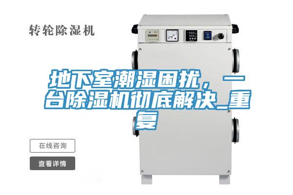 地下室潮濕困擾，一臺(tái)除濕機(jī)徹底解決_重復(fù)