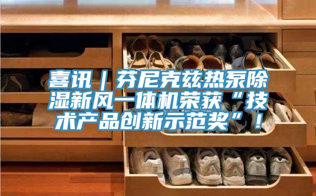 喜訊｜芬尼克茲熱泵除濕新風(fēng)一體機榮獲“技術(shù)產(chǎn)品創(chuàng)新示范獎”！