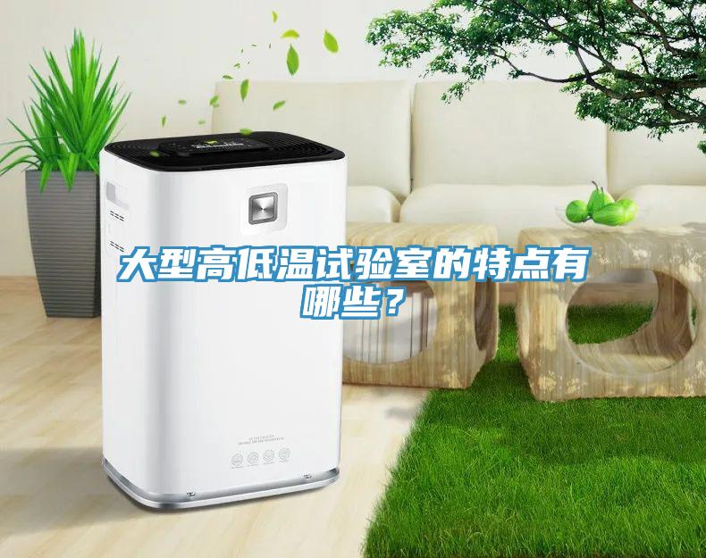 大型高低溫試驗室的特點有哪些？