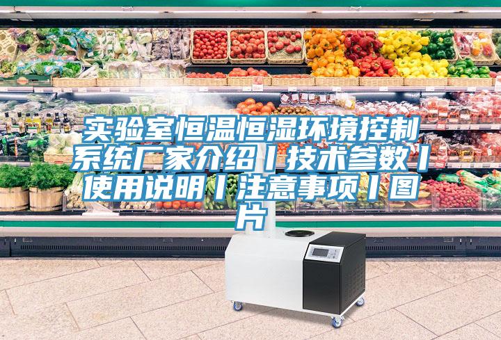實驗室恒溫恒濕環(huán)境控制系統(tǒng)廠家介紹丨技術(shù)參數(shù)丨使用說明丨注意事項丨圖片