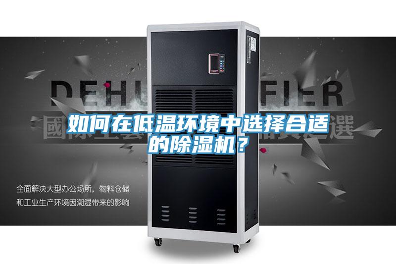 如何在低溫環(huán)境中選擇合適的除濕機(jī)？