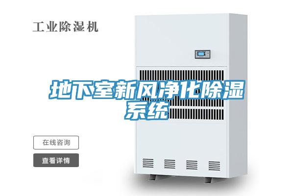 地下室新風(fēng)凈化除濕系統(tǒng)