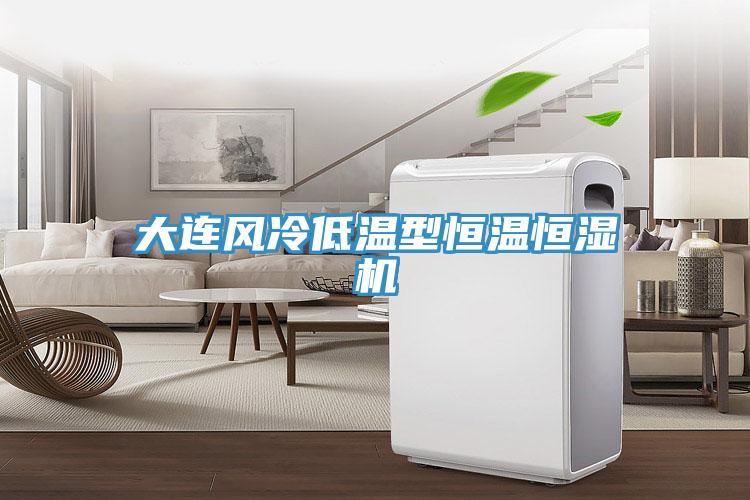 大連風(fēng)冷低溫型恒溫恒濕機