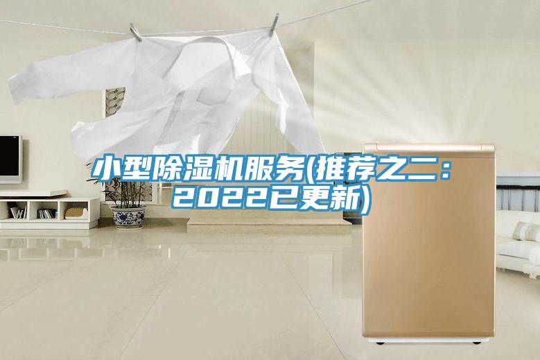 小型除濕機服務(推薦之二：2022已更新)