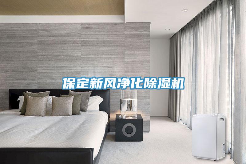 保定新風(fēng)凈化除濕機(jī)