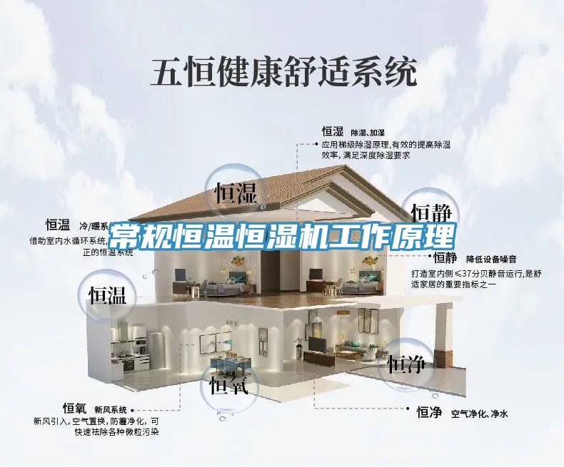 常規(guī)恒溫恒濕機工作原理