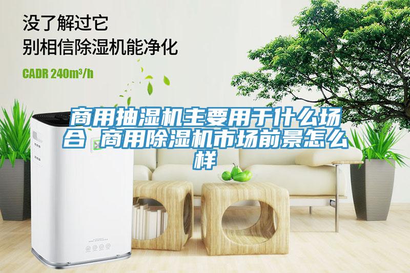 商用抽濕機(jī)主要用于什么場合 商用除濕機(jī)市場前景怎么樣