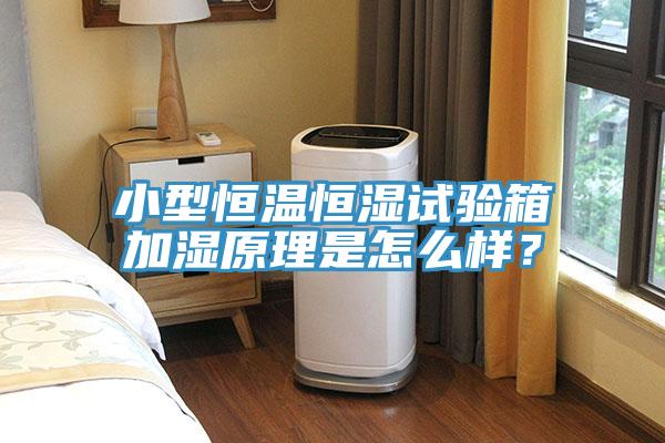 小型恒溫恒濕試驗(yàn)箱加濕原理是怎么樣？