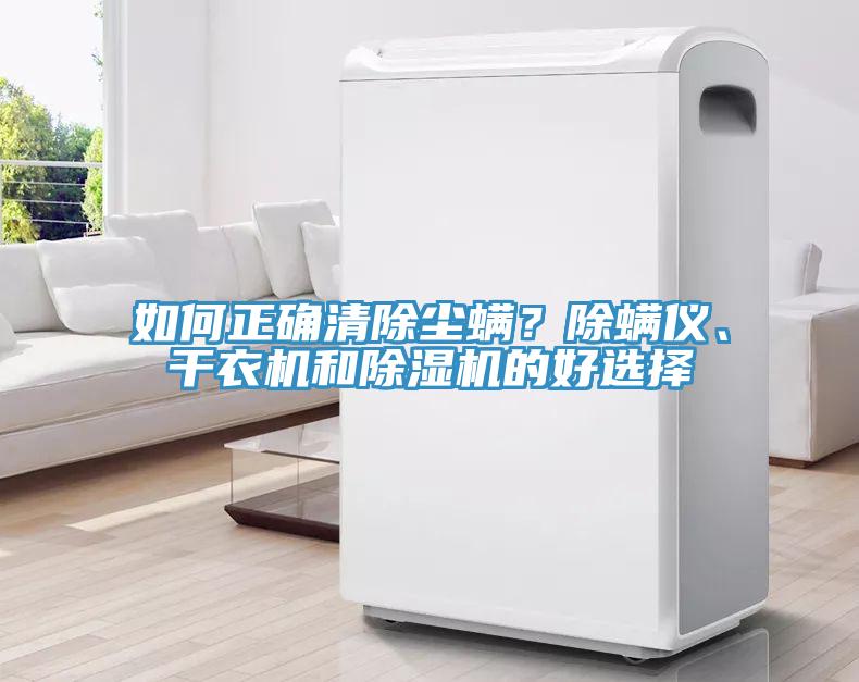 如何正確清除塵螨？除螨儀、干衣機(jī)和除濕機(jī)的好選擇