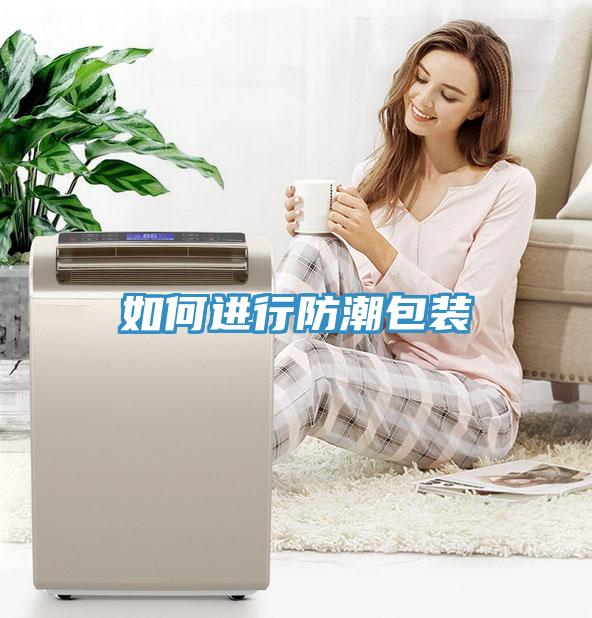 如何進行防潮包裝