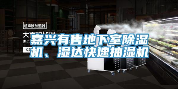 嘉興有售地下室除濕機、濕達快速抽濕機