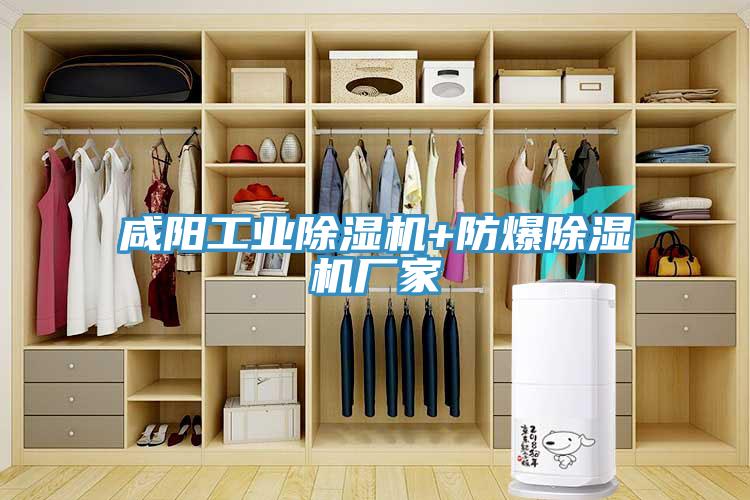 咸陽工業(yè)除濕機+防爆除濕機廠家