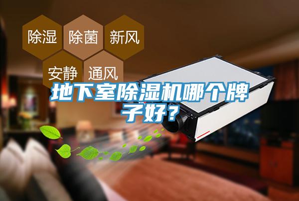 地下室除濕機(jī)哪個(gè)牌子好？