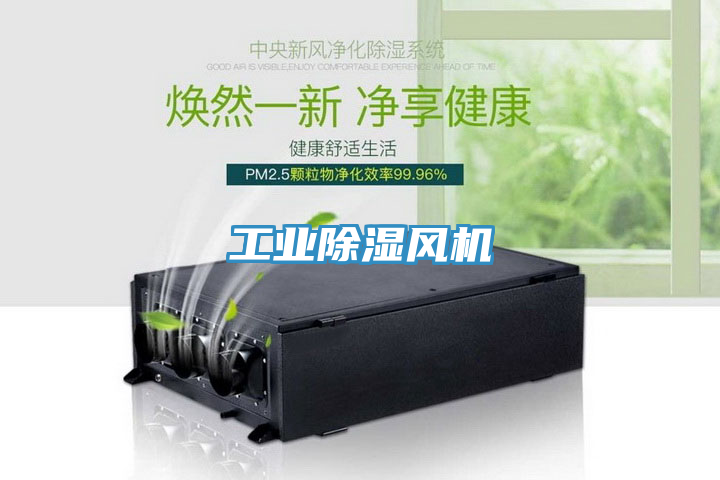 工業(yè)除濕風(fēng)機(jī)