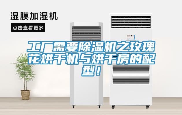 工廠需要除濕機之玫瑰花烘干機與烘干房的配型！