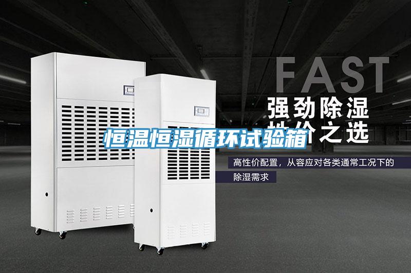恒溫恒濕循環(huán)試驗(yàn)箱