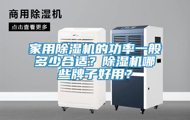 家用除濕機(jī)的功率一般多少合適？除濕機(jī)哪些牌子好用？