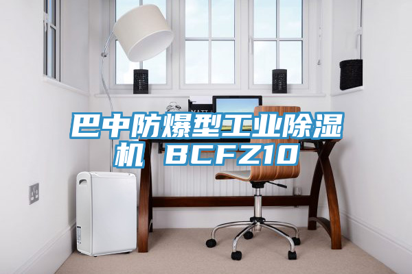巴中防爆型工業(yè)除濕機 BCFZ10