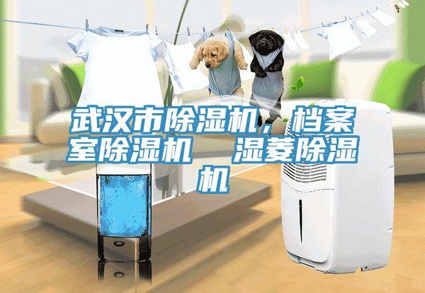 武漢市除濕機，檔案室除濕機  濕菱除濕機