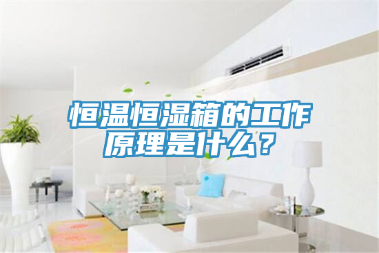 恒溫恒濕箱的工作原理是什么？