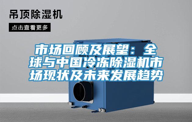 市場(chǎng)回顧及展望：全球與中國(guó)冷凍除濕機(jī)市場(chǎng)現(xiàn)狀及未來發(fā)展趨勢(shì)
