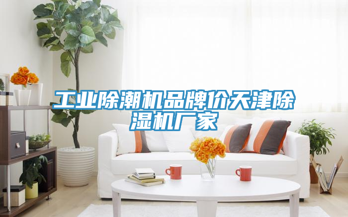 工業(yè)除潮機(jī)品牌價(jià)天津除濕機(jī)廠家