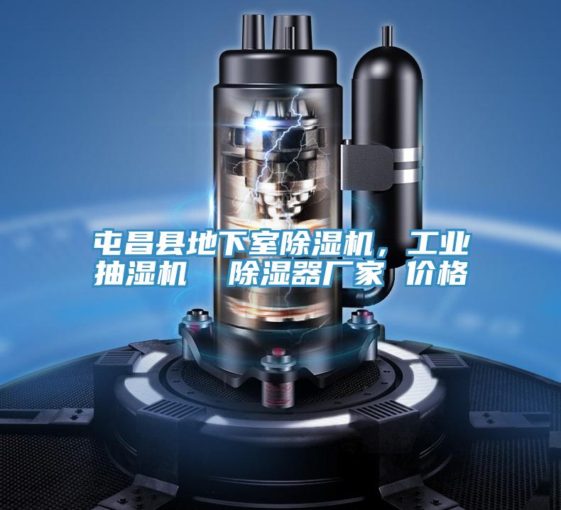 屯昌縣地下室除濕機，工業(yè)抽濕機  除濕器廠家 價格