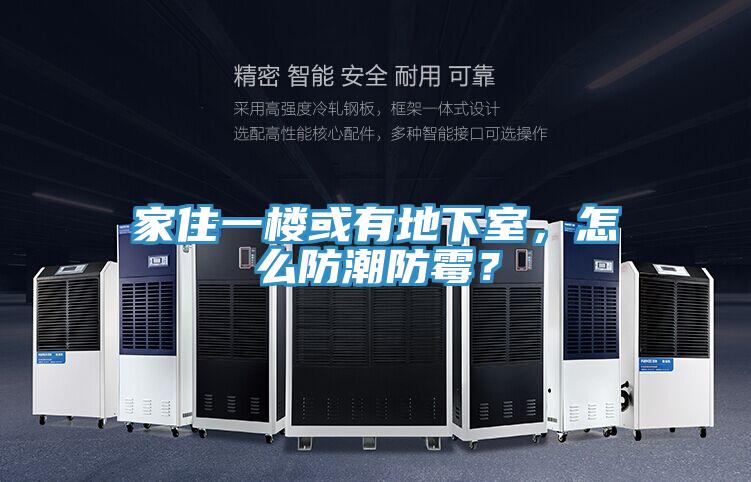 家住一樓或有地下室，怎么防潮防霉？