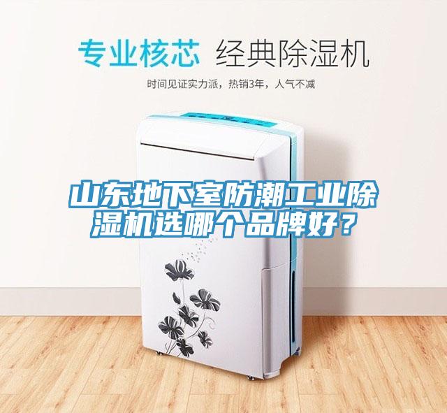 山東地下室防潮工業(yè)除濕機(jī)選哪個(gè)品牌好？