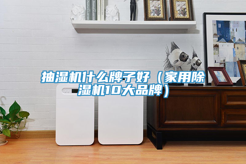 抽濕機(jī)什么牌子好（家用除濕機(jī)10大品牌）