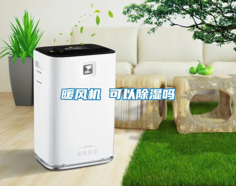暖風(fēng)機(jī) 可以除濕嗎