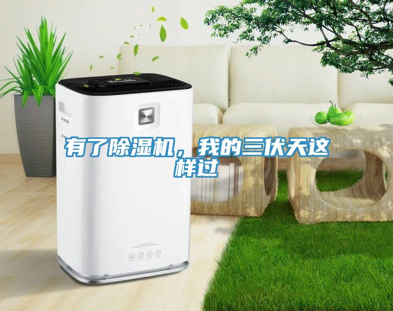 有了除濕機(jī)，我的三伏天這樣過