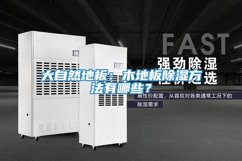 大自然地板：木地板除濕方法有哪些？