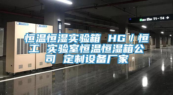 恒溫恒濕實驗箱 HG／恒工 實驗室恒溫恒濕箱公司 定制設(shè)備廠家
